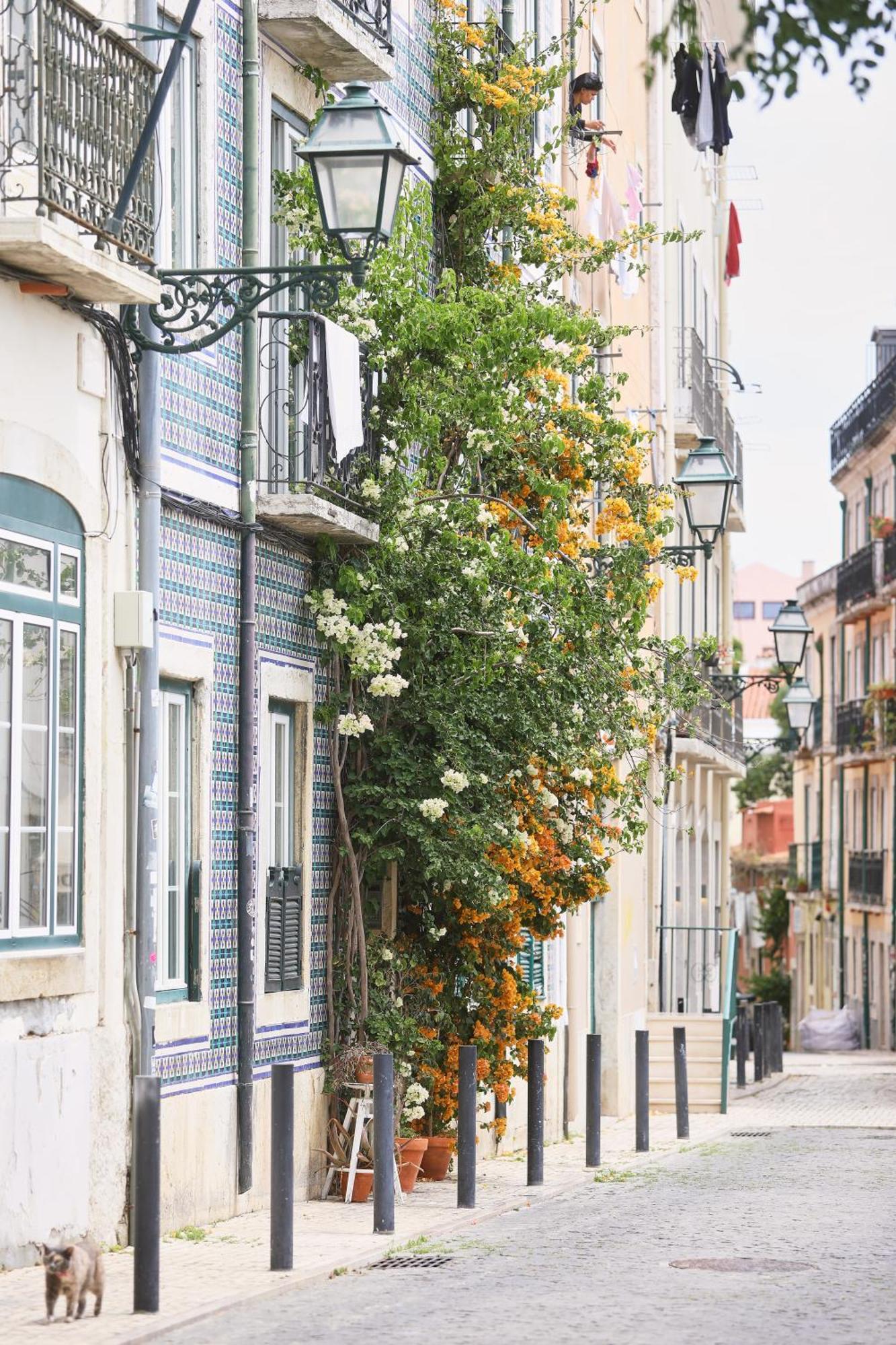 Bica Little House Apartamento